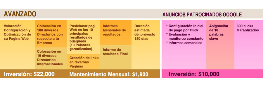 Posicionamiento Web Paquete avanzado SEO