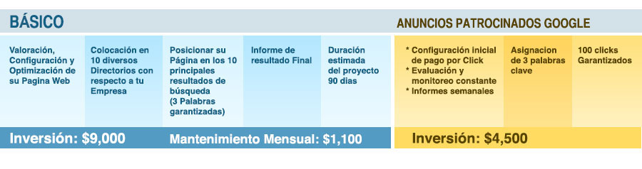 Anuncio patrocinados Google Paquete básico SEO